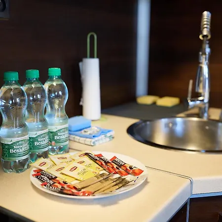 Partynice State Two-level Apartamento